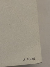 Load image into Gallery viewer, French Landmarks Arc de Triomphe, Eiffel Tower, Notre Dame Rafael Ortiz Alfau Signed