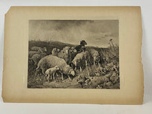 Load image into Gallery viewer, Sheep Herd in the Field Antique Photogravure